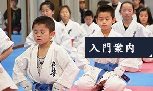 入門案内